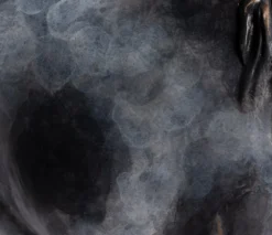 Faithful Friends- Shelter -Art Prints Shop 7 horse and child 2022 11 07T10 58 41