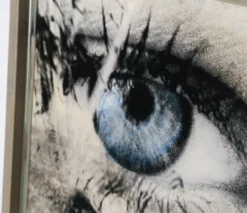 Tembo -Art Prints Shop MAZ ORI POR 28261 520Tembo