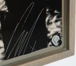 Tembo -Art Prints Shop MAZ ORI POR 28261 720Tembo