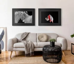 Fiesta -Art Prints Shop abe room set 2 1600x1380 2021 09 02T13 10 13 1