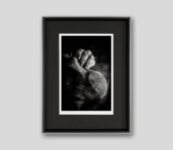 Call Of The Wild (Set Of Three - Alpha/It's Been A Long Day/Prince Of Darkness) -Art Prints Shop abo its been a long day grey 2021 04 13T14 04 04