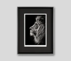 Call Of The Wild (Set Of Three - Alpha/It's Been A Long Day/Prince Of Darkness) -Art Prints Shop abo prince of darkness grey 2021 04 13T14 04 04