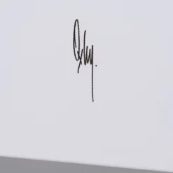 Basil - Boutique (Large) -Art Prints Shop box basil large 3 2023 06 22T14 20 43