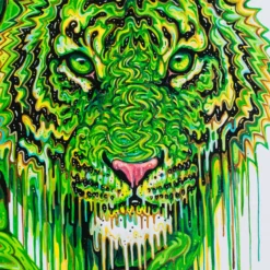 Basil - Boutique (Large) -Art Prints Shop box basil large 6 2023 06 22T14 20 50