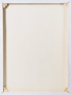 Summer 2023 - Set Of Three Boutiques (Large) -Art Prints Shop box basil large 7 2023 07 14T11 09 16