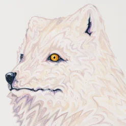 Tundra -Art Prints Shop box ori wwl 30828 tundra 5 2023 07 13T13 34 46