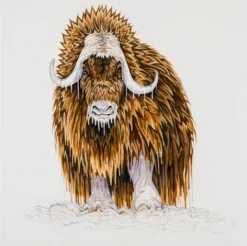 Nelson -Art Prints Shop box ori wwl 30831 nelson 30 2023 07 13T13 12 18