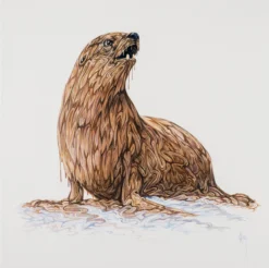 Stella 14 Stella -Art Prints Shop box ori wwl 30832 stella 30 2023 07 13T13 00 52