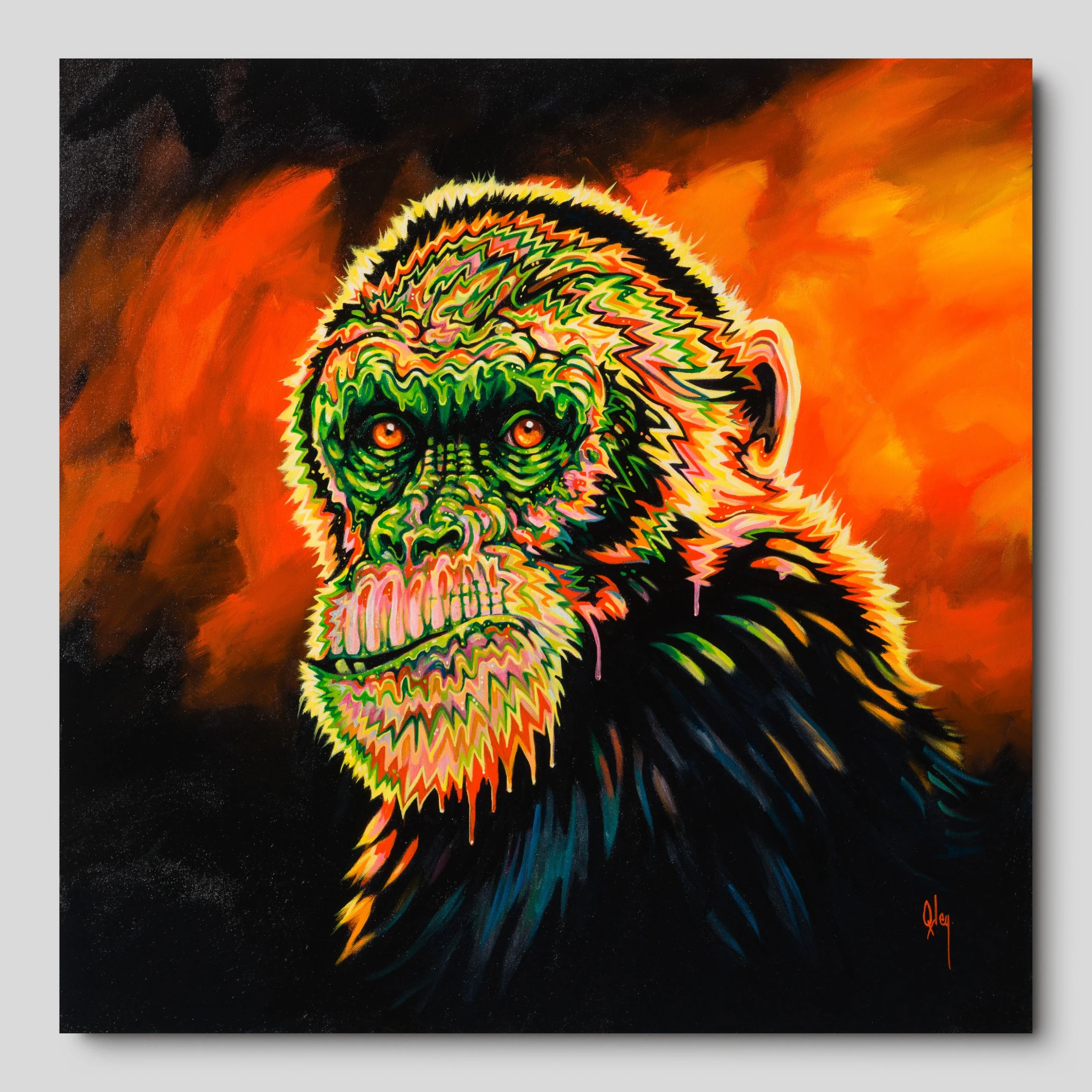 Basil Is A Gogo 1 Basil Is A Gogo