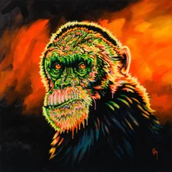 Basil Is A Gogo 14 Basil Is A Gogo -Art Prints Shop box ori wwl 32325 basil is a gogo 30 2023 11 24T09 08 49