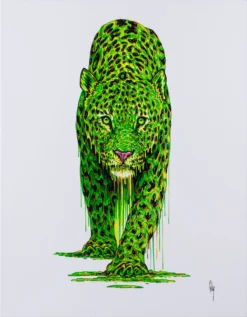 Sage (Medium) -Art Prints Shop box sage 30 2023 06 22T13 56 37