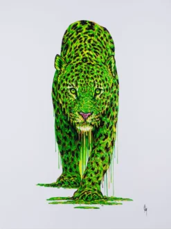 Sage - Boutique (Large) -Art Prints Shop box sage large 30 2023 06 22T14 11 12