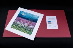 The Danger Tree | Catalogue Raisonné -Art Prints Shop danger tree limited edition book 04