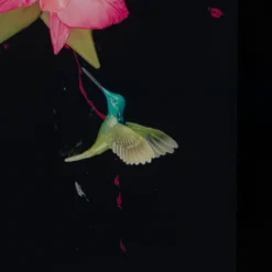 Money Only Goes So Far, Love Is Infinite -Art Prints Shop dln money only goes so far love is infinite 5 2023 10 13T14 55 51