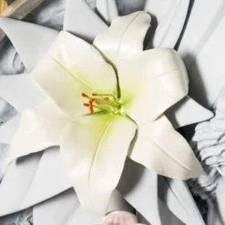 Athena -Art Prints Shop dln ori por 31620 athena 6 2023 08 03T09 56 47