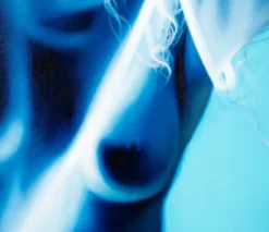 Overture -Art Prints Shop elp ori por 27653 5 vivace 2022 01 28T12 57 54