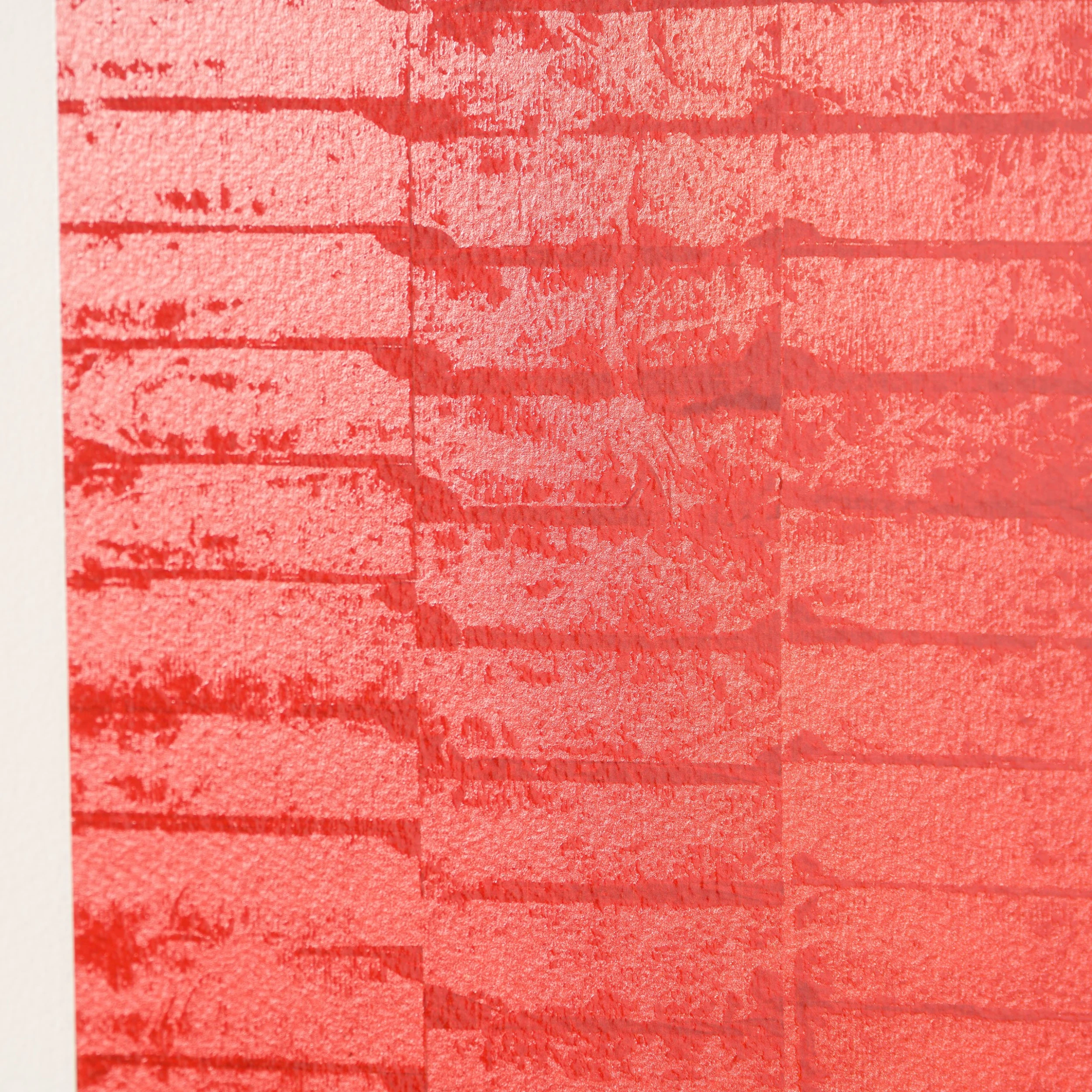 The Bunnyman Genesis – Framed Set Of Four 11 The Bunnyman Genesis – Framed Set Of Four - Image 11