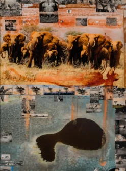 Kutoroka (Escape) -Art Prints Shop maz ori por 30618 31 kutoroka escape 2023 06 01T12 51 26