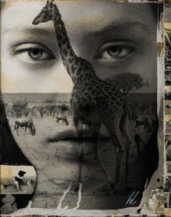 Mwanga (Light) -Art Prints Shop maz ori por 30624 31 mwanga light 2023 06 01T12 55 31