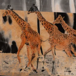 Shahidi (Witness) -Art Prints Shop maz ori por 30626 6 shahidi witness 2023 06 01T13 06 05