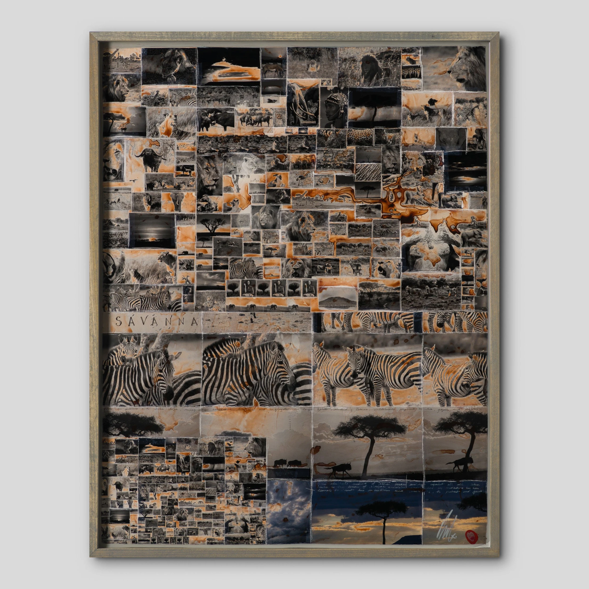 Kuhama (Migrate) 1 Kuhama (Migrate)