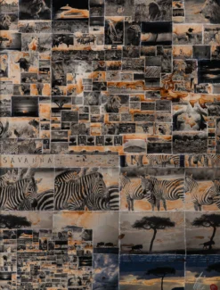 Kuhama (Migrate) 20 Kuhama (Migrate) -Art Prints Shop maz ori por 30630 31 kuhama migrate 2023 06 01T12 48 41