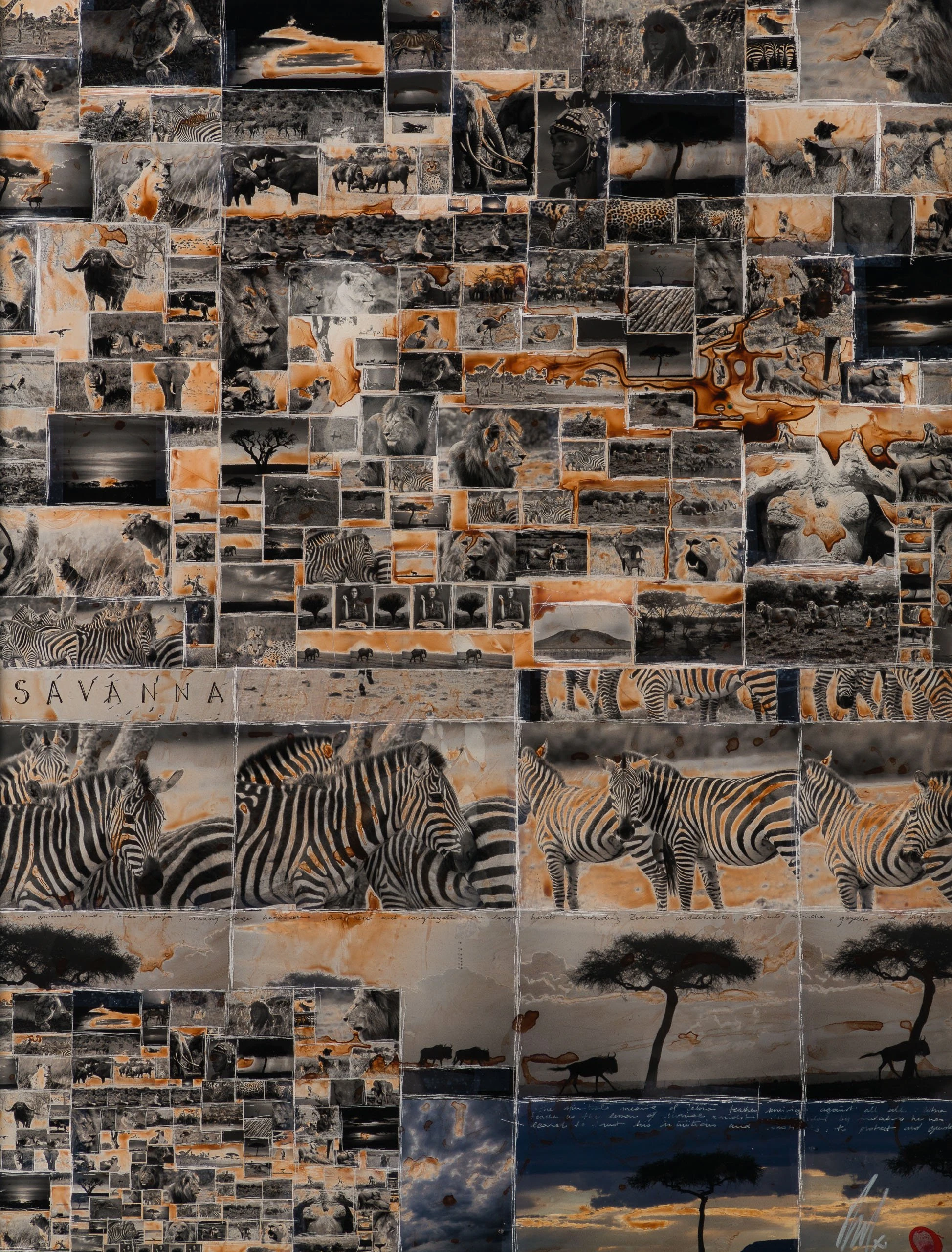 Kuhama (Migrate) 10 Kuhama (Migrate) - Image 10