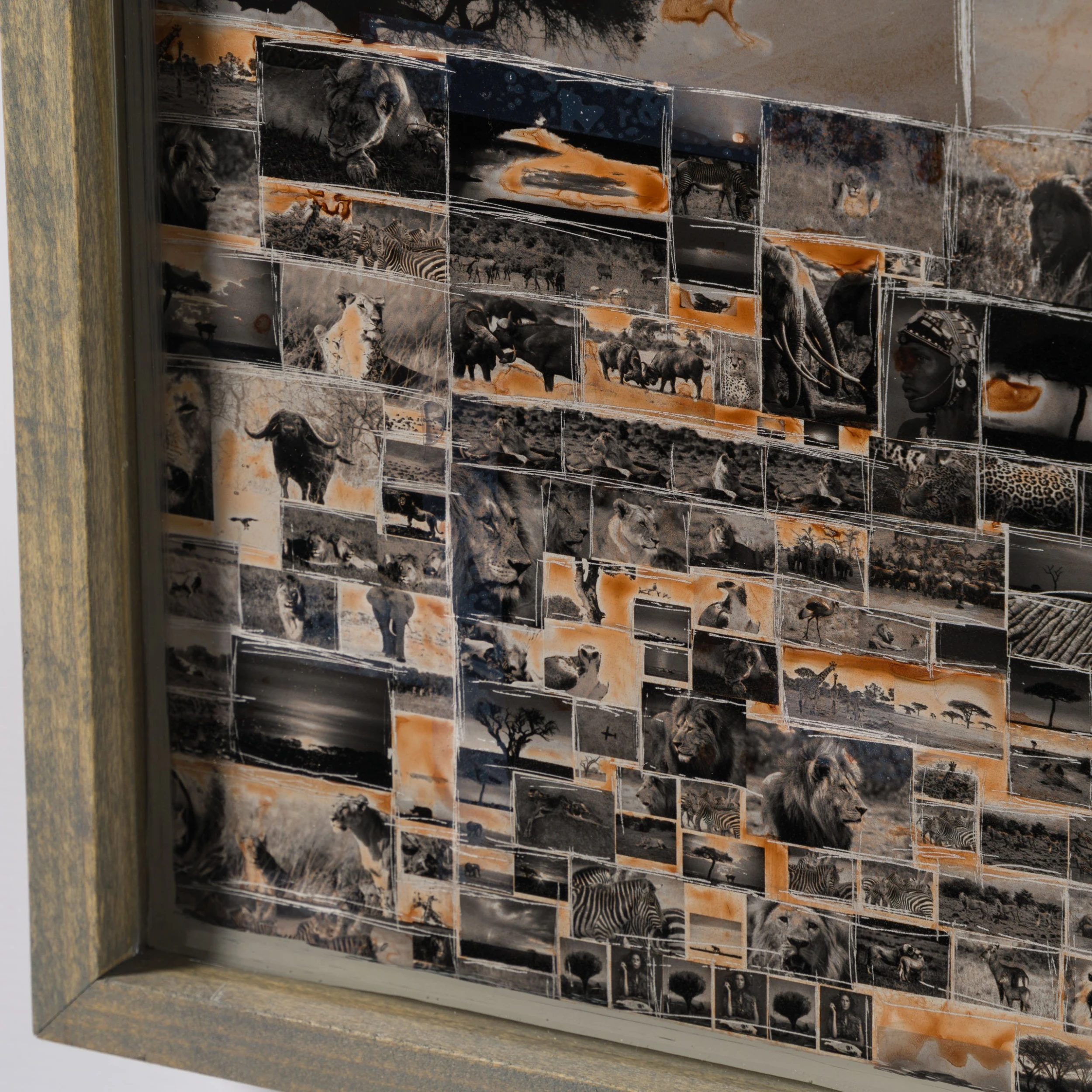 Kuhama (Migrate) 7 Kuhama (Migrate) - Image 7