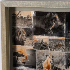 Kuhama (Migrate) 19 Kuhama (Migrate) -Art Prints Shop maz ori por 30630 5 kuhama migrate 2023 06 01T12 48 41