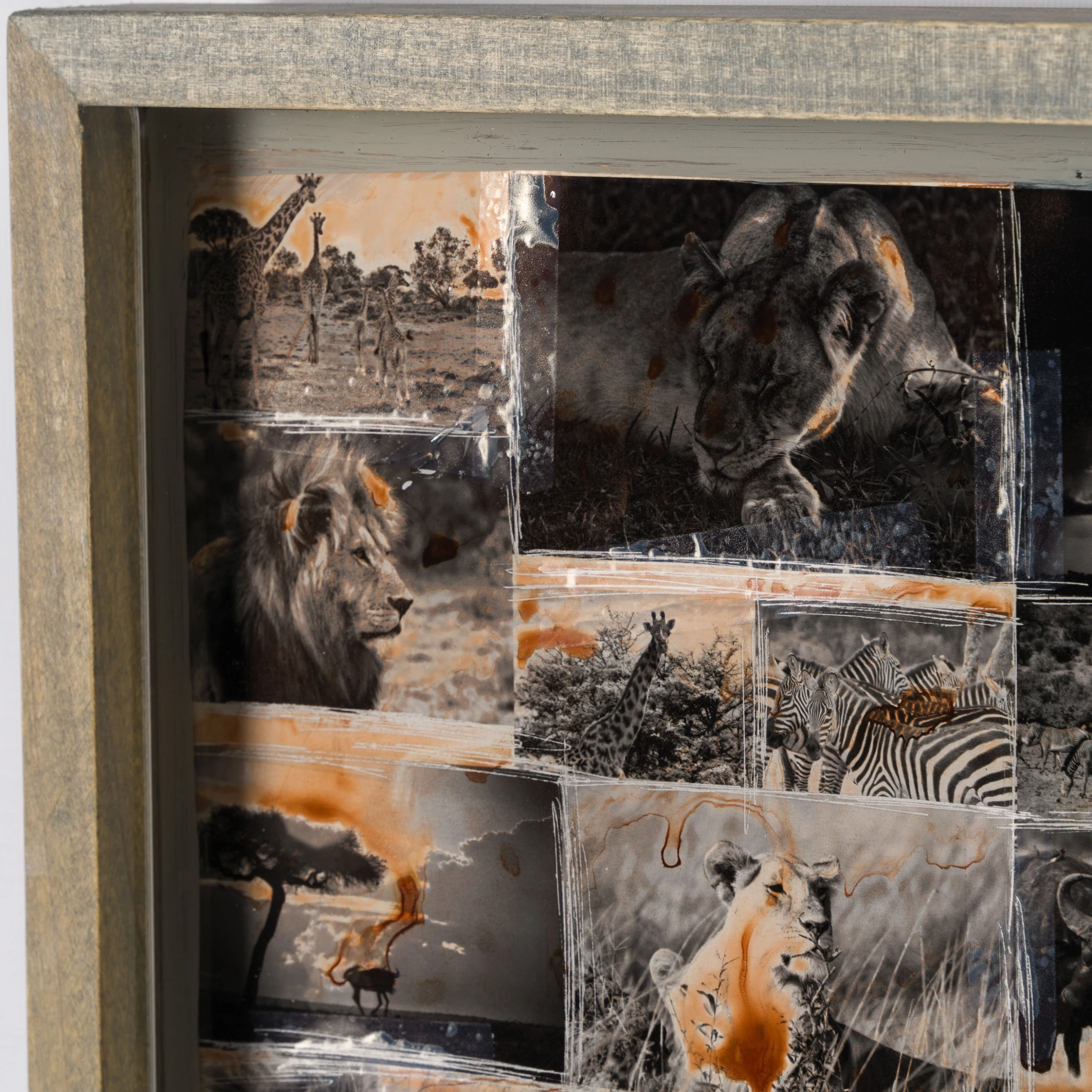 Kuhama (Migrate) 9 Kuhama (Migrate) - Image 9