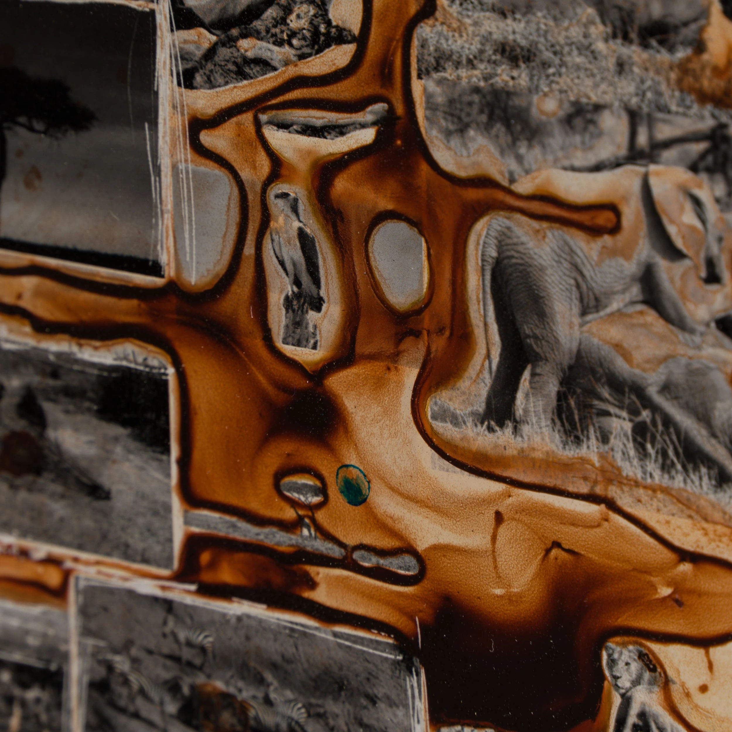 Kuhama (Migrate) 3 Kuhama (Migrate) - Image 3