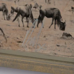 Serengeti -Art Prints Shop maz ori por 30634 3 serengeti 2023 06 01T13 04 34