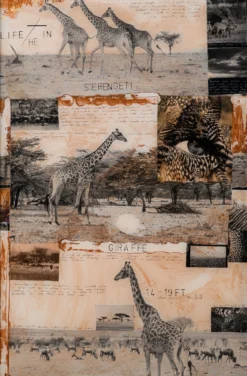 Serengeti -Art Prints Shop maz ori por 30634 31 serengeti 2023 06 01T13 04 34