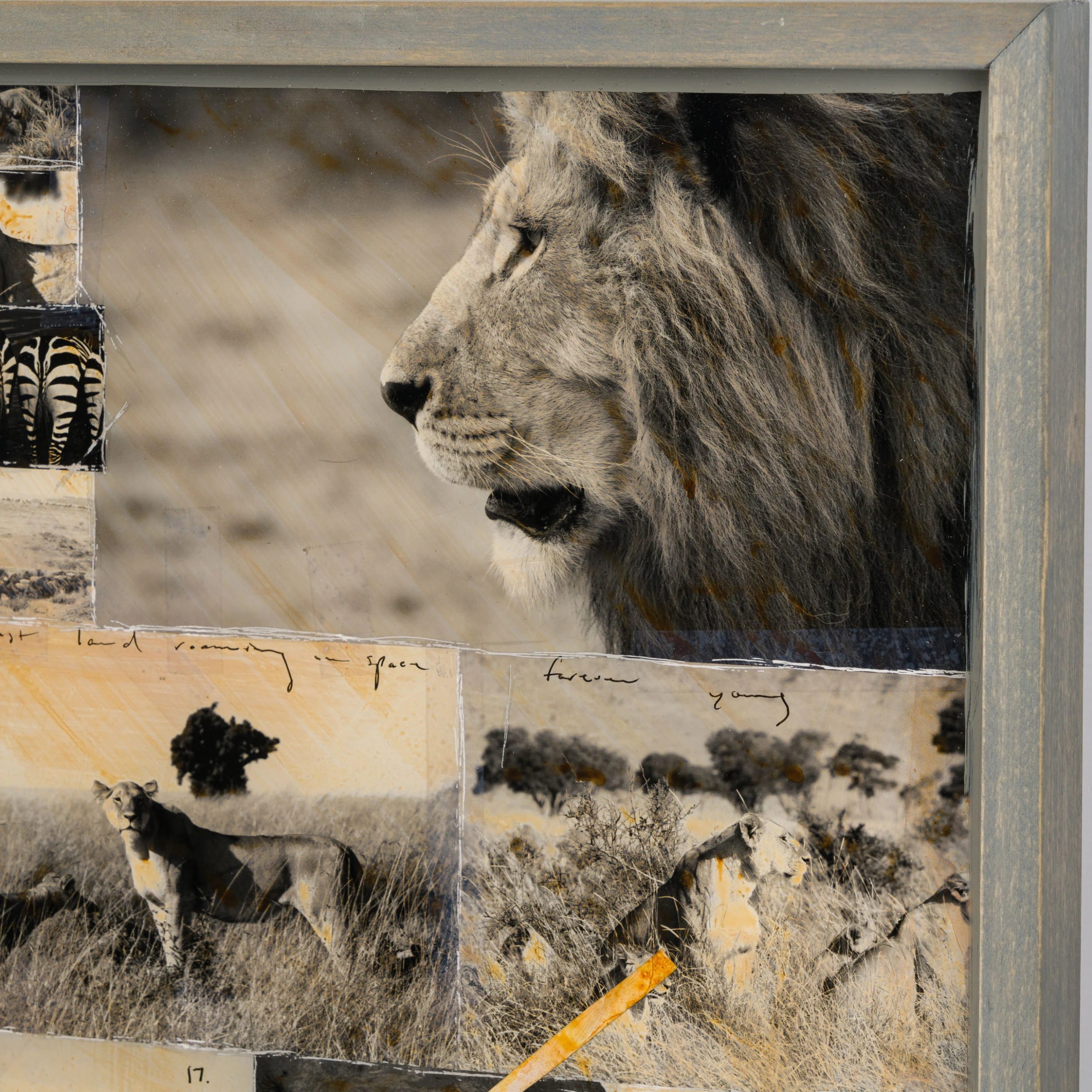 Sehemu (Segments) 3 Sehemu (Segments) - Image 3