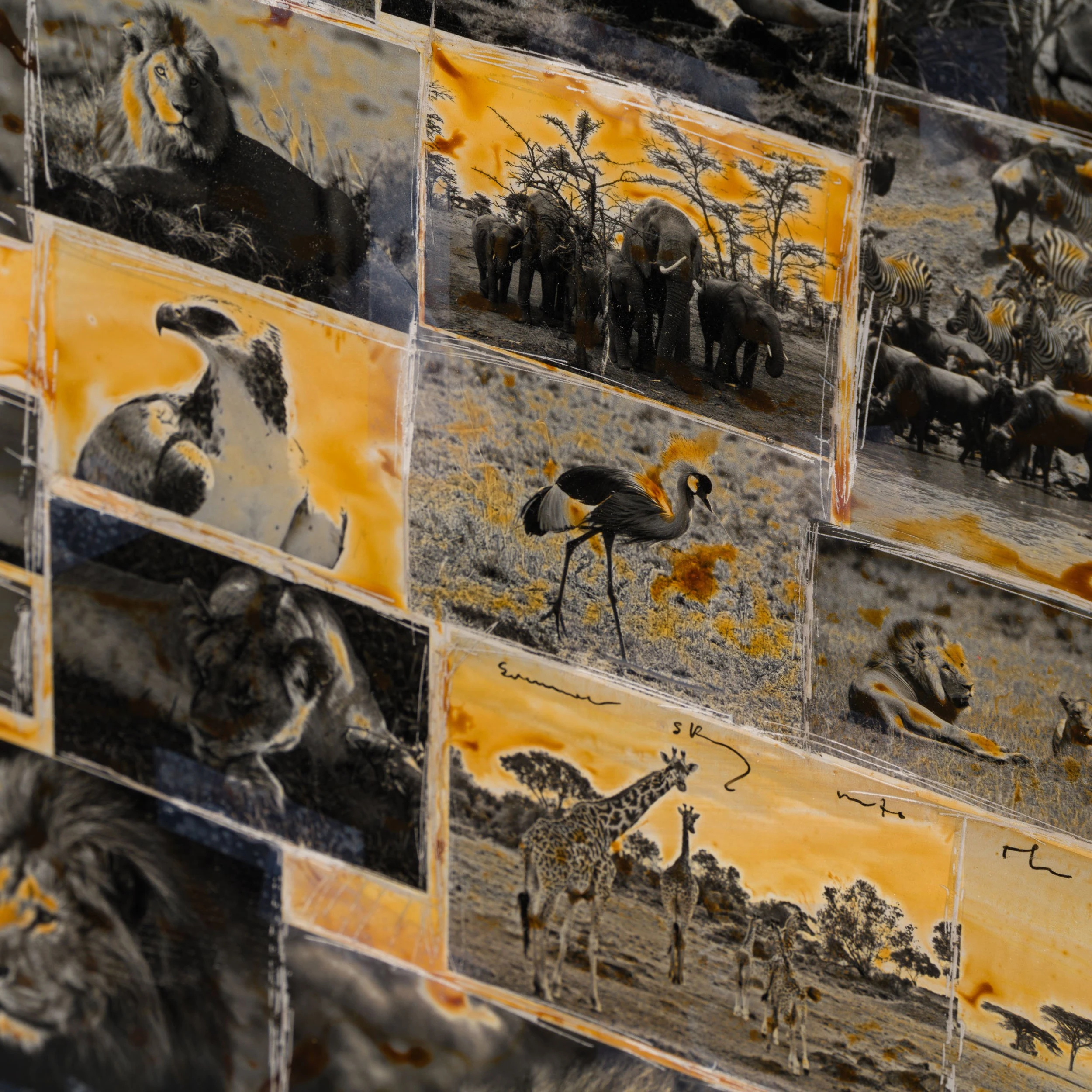 Sehemu (Segments) 4 Sehemu (Segments) - Image 4