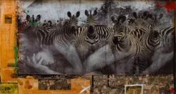 Zebras Unique One -Art Prints Shop maz sle uni 31334 zebras unique 1 31 2023 06 20T14 26 38