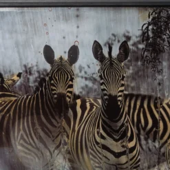 Zebras Unique Four -Art Prints Shop maz sle uni 31337 zebras unique 4 5 2023 06 20T14 13 12