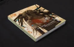 The Never-Ending Summer (Standard Book)