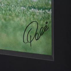 New York Cosmos (Silver Gelatin 40x60) 9 New York Cosmos (Silver Gelatin 40x60) -Art Prints Shop pel sle por 05050 3 new york cosmo 30x40 2023 02 09T15 14 06 2