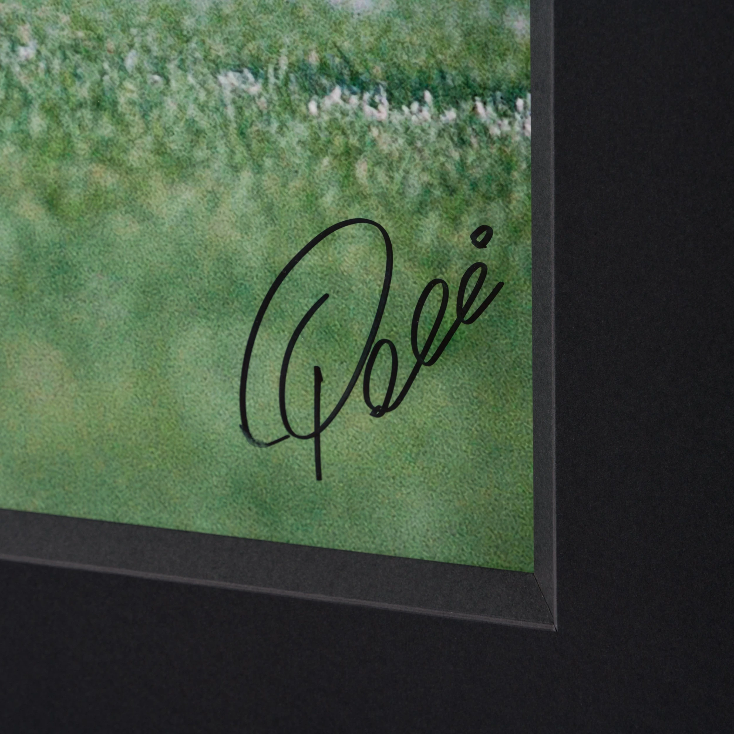 New York Cosmos (Silver Gelatin 40x60) 3 New York Cosmos (Silver Gelatin 40x60) - Image 3