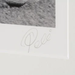 Unstoppable! -Art Prints Shop pel sle por 07039 3 unstoppable 2023 03 01T15 09 24