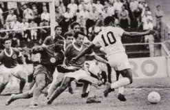 Unstoppable! -Art Prints Shop pel sle por 07039 31 unstoppable 2023 03 01T15 09 27