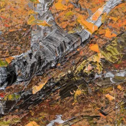 Autumn Leaves -Art Prints Shop pke sle lan 29324 4 autumn leaves 2023 02 13T15 03 55