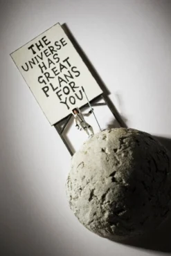 Trust -Art Prints Shop pmr 110322 washington green nic joly 023 2022 08 30T14 46 23