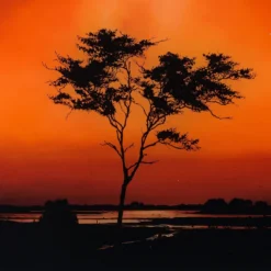 Utopia -Art Prints Shop rro sle lan 30279 5 utopia 2023 03 13T12 12 04