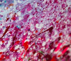 As Dark As Night -Art Prints Shop sra ori lan 25819 5 as dark as the night 2021 08 25T10 33 30