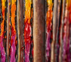 Forests Of The Night [Triptych] -Art Prints Shop sra ori lan 25821 5 forests of the night triptych 2021 08 25T08 42 43