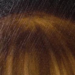 Olive -Art Prints Shop srs 4 oliver 2023 04 14T14 16 03