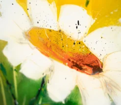 Sublatio -Art Prints Shop ssi ori lan 27323 4 sublatio 2022 02 04T13 09 14