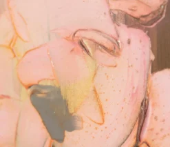 Rosa Gratiam II -Art Prints Shop ssi ori lan 28097 8 rosa gratium ii 2022 04 06T13 30 37